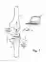 Fig. 02 - Muscular-skeletal joint stability detection and method therefor