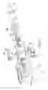 Fig. 05 - Orthopedic device delivering a controlled, repeatable impact