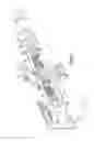 Fig. 06 - Orthopedic device delivering a controlled, repeatable impact