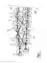 Fig. 02 - Orthodontic bracket