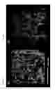 Fig. 05 - Three-dimensionally printed tissue engineering scaffolds for tissue regeneration