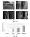 Fig. 06 - Three-dimensionally printed tissue engineering scaffolds for tissue regeneration