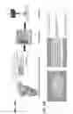 Fig. 17 - Three-dimensionally printed tissue engineering scaffolds for tissue regeneration