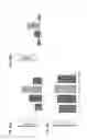 Fig. 22 - Three-dimensionally printed tissue engineering scaffolds for tissue regeneration