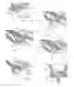 Fig. 06 - Expandable intervertebral implant