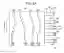 Fig. 13 - Tympanic membrane pressure equalization tube delivery system