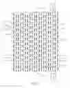 Fig. 09 - Diaper structure with enhanced tactile softness attributes