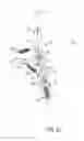 Fig. 35 - Elevated height wheelchair