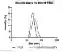 Fig. 01 - Siderophore-polymer conjugates for increasing bacterial sensitivity to antibiotics
