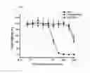 Fig. 08 - Siderophore-polymer conjugates for increasing bacterial sensitivity to antibiotics