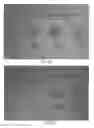 Fig. 03 - NUTRITIONAL COMPOSITIONS AND ASSOCIATED METHODS