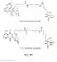 Fig. 22 - PYRANONAPHTHOQUINONE COMPOUNDS AND METHODS OF USE THEREOF
