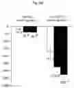 Fig. 07 - Methods of preventing progression to type 2 diabetes mellitus