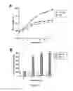 Fig. 02 - METHODS AND COMPOSITIONS FOR TREATMENT OF DERMAL AND EPIDERMAL WOUNDS