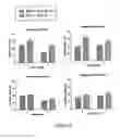 Fig. 09 - METHODS AND COMPOSITIONS FOR TREATMENT OF DERMAL AND EPIDERMAL WOUNDS