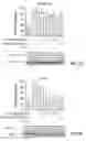 Fig. 22 - METHODS OF TREATING CANCER USING 3-(5-AMINO-2-METHYL-4-OXO-4H-QUINAZOLIN-3-YL)-PIPERIDINE-2,6-DIONE