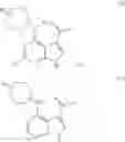 Fig. 09 - Amino-pyrrolopyrimidinone compounds and methods of use thereof