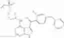 Fig. 438 - Amino-pyrrolopyrimidinone compounds and methods of use thereof