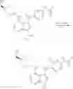 Fig. 744 - Amino-pyrrolopyrimidinone compounds and methods of use thereof