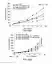Fig. 33 - Heterocyclic compounds and uses thereof