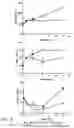 Fig. 07 - Composition Comprising Neoagarooligosaccharide As Active Ingredient, For Prevention or Treatment of Sepsis or Septic Shock