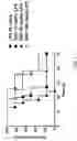 Fig. 08 - Composition Comprising Neoagarooligosaccharide As Active Ingredient, For Prevention or Treatment of Sepsis or Septic Shock