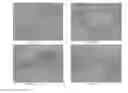 Fig. 05 - Pharmaceutical composition for improving health, cure abnormalities and degenerative disease, achieve anti-aging effect of therapy and therapeutic effect on mammals and method thereof
