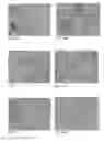 Fig. 41 - Pharmaceutical composition for improving health, cure abnormalities and degenerative disease, achieve anti-aging effect of therapy and therapeutic effect on mammals and method thereof