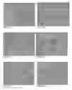 Fig. 46 - Pharmaceutical composition for improving health, cure abnormalities and degenerative disease, achieve anti-aging effect of therapy and therapeutic effect on mammals and method thereof