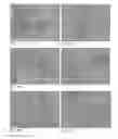 Fig. 49 - Pharmaceutical composition for improving health, cure abnormalities and degenerative disease, achieve anti-aging effect of therapy and therapeutic effect on mammals and method thereof