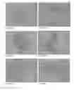 Fig. 53 - Pharmaceutical composition for improving health, cure abnormalities and degenerative disease, achieve anti-aging effect of therapy and therapeutic effect on mammals and method thereof