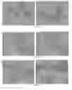 Fig. 60 - Pharmaceutical composition for improving health, cure abnormalities and degenerative disease, achieve anti-aging effect of therapy and therapeutic effect on mammals and method thereof