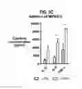 Fig. 08 - Compositions comprising bacterial strains