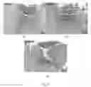 Fig. 06 - Use of composition for manufacturing anti-fatigue probiotic composition to improve exercise performance