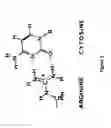 Fig. 06 - Method of developing a vaccine using peptide-poly IC complexes