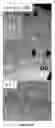 Fig. 12 - Neuronal specific targeting of caveolin expression to restore synaptic signaling and improve cognitive function in the neurodegenerative brain and motor function in spinal cord