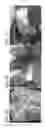 Fig. 02 - Bioengineered allogeneic blood vessel
