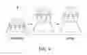 Fig. 18 - PROTRUDING MICROSTRUCTURE FOR TRANSDERMAL DELIVERY