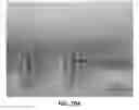 Fig. 30 - PROTRUDING MICROSTRUCTURE FOR TRANSDERMAL DELIVERY