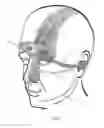 Fig. 02 - Device for the transcutaneous electrical stimulation of the trigeminal nerve