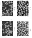 Fig. 02 - METHOD OF MANUFACTURING COATED BEADS