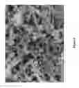 Fig. 02 - METHOD FOR PRODUCING POROUS CELLULOSE BEADS, AND ADSORBENT USING SAME