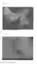 Fig. 02 - LIQUID DISPERSION OF METAL NANOPARTICLES FOR SOLDER PASTE, METHOD FOR PRODUCING THE LIQUID DISPERSION, SOLDER PASTE, METHOD FOR PRODUCING THE SOLDER PASTE