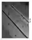 Fig. 29 - Formed thermoplastic article having a peelable surface and smooth edges