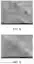 Fig. 06 - Hydroembedded film-based composites
