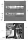 Fig. 04 - CYLINDER FOR REMOVAL, STORAGE, AND ATTACHMENT OF LUG NUTS