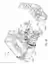 Fig. 44 - Mobility device