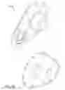 Fig. 74 - Mobility device