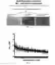 Fig. 02 - Compositions and methods useful for enhancing the microbial conversion of nitrate into ammonium