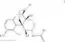 Fig. 02 - 6-amido derivatives of 4,5A-epoxymorphinans for treatment of pain